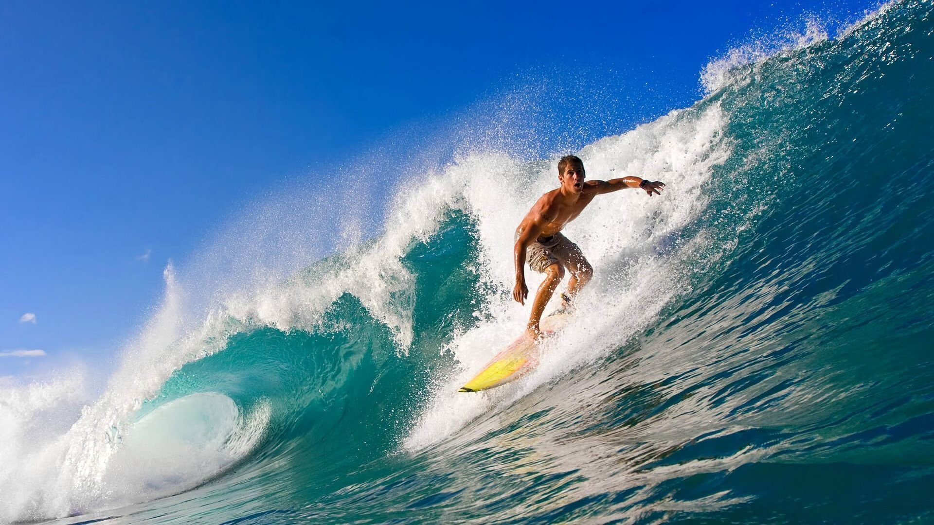 赛道上的交响诗,阿拉巴冠军级表现铸就F1年度争冠传奇